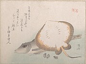Stingray and Gurnard