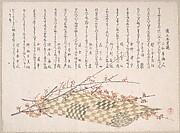 Plum Branches with Flowers and a Rolled Mat