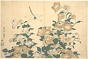 Dragonfly and Bellflower