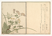 Katydid and Centipede (Umaoimushi and Mukade), from Picture Book: Selected Insects with Crazy Poems (Ehon mushi erabi)
