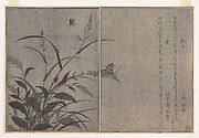 Fireflies and Cricket (Hotaru and Matsumushi), from Picture Book of Selected Insects with Crazy Poems (Ehon Mushi Erabi)