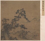 Viewing the Moon under a Pine Tree