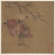 Pomegranates