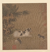Puppies Playing beside a Palm Tree and Garden Rock