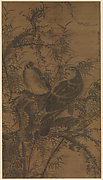 Two Hawks in a Thicket