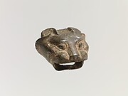 Mask of a Tiger