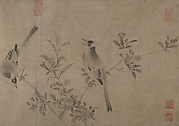 Chinese Bulbuls on Flowering Cherry-Apple