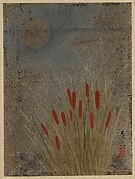 Cat Tails and Moon