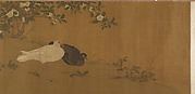 Quail