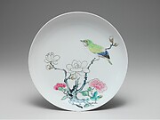 Dish