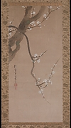 Flowering Plum