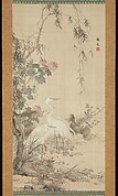 Willow and Herons