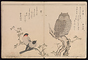 Myriad Birds:A Playful Poetry Contest (Momo chidori kyōka-awase), 2 vols.

