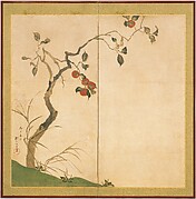 The Persimmon Tree
