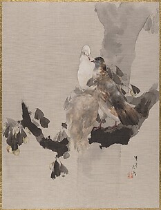 Pigeons in a Tree