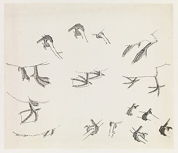 Birds' Feet