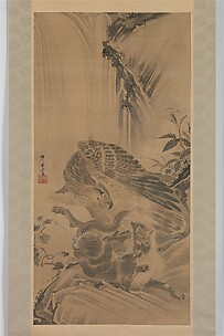 Eagle Attacking a Mountain Lion