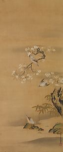 Waxwings, Cherry Blossoms, and Bamboo by a Stream