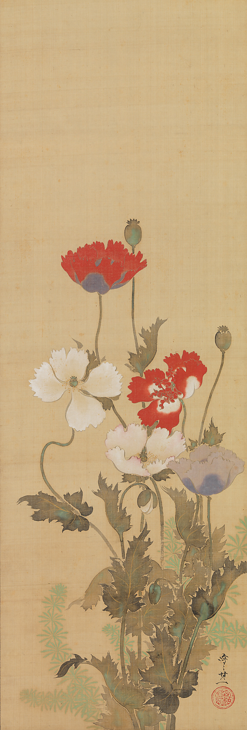 Poppies
