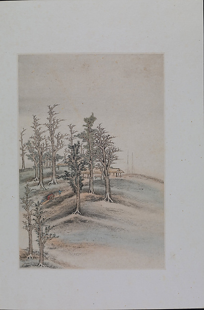 Landscapes