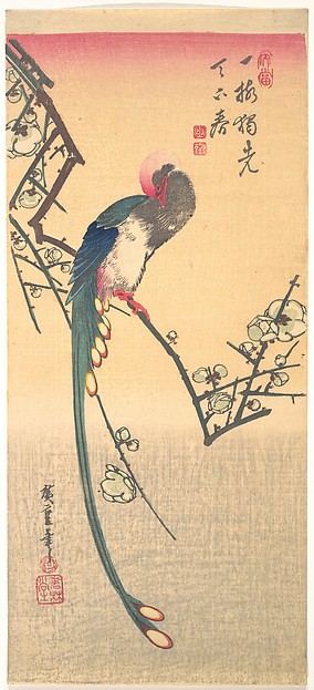 Utagawa Hiroshige: Long-tailed Bird on Flowering Plum Branch 