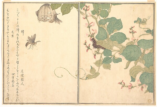 Utamaro, Ehon Mushi Erami, 1788