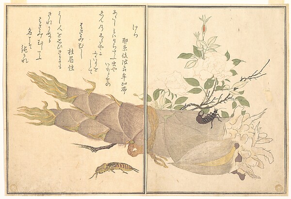 Utamaru, Ehon Mushi Erami, 1788