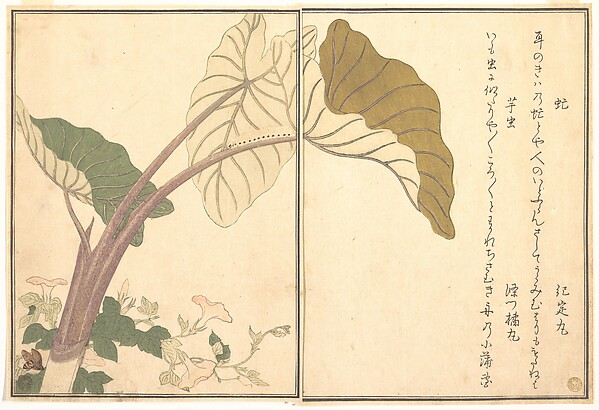 Utamaro, Ehon Mushi Erami, 1788