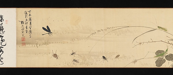 Insects and Grasses