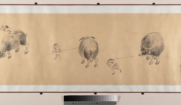 Water Buffaloes