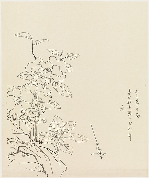 Camellia and Rock, after Chen Hongshou