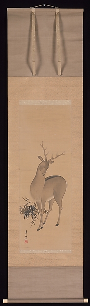 Deer