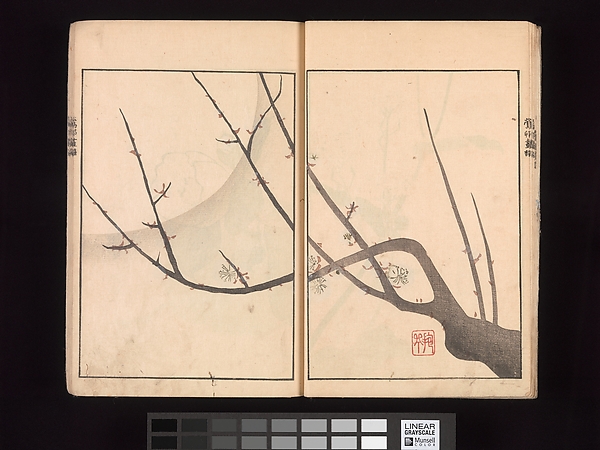 The Ōson Picture Album (Ōson gafu)