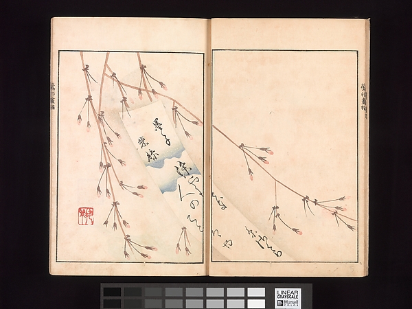 The Ōson Picture Album (Ōson gafu)