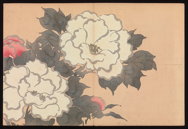 Flowers of a Hundred Worlds (Momoyogusa)