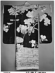 Woman's Formal Overrobe (Uchikake) with Maple Tree and River