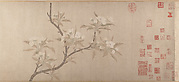 Pear Blossoms