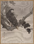 Eagle In Japanese