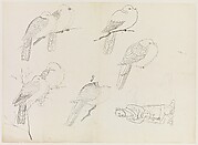 Birds and Human Figure