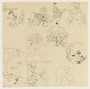 Plants, Flowers, and Birds