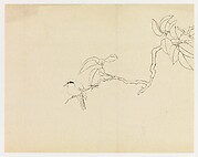 Bird on a Branch