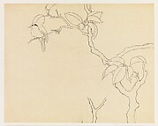 Bird on a Branch