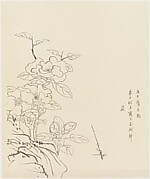 Camellia and Rock, after Chen Hongshou