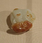 Lingzhi Mushroom