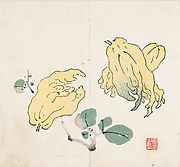 Buddha’s Hand Fruits, after Gao You (active first half of the 17th century) Leaf from the Ten Bamboo Studio Collection of Calligraphy and Painting

