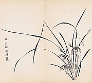 Orchids in Rain, after Wen Zhengming, Leaf from the Ten Bamboo Studio Collection of Calligraphy and Painting, vol. 2

