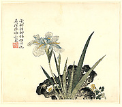 Iris and Rock, from 
Mustard Seed Garden Manual of Painting, Part 3