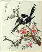 Magpies and Prunus