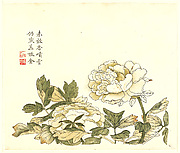 Two Peonies, Leaf from the Mustard Seed Garden Painting Manual, part 3

