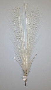 Aigrette